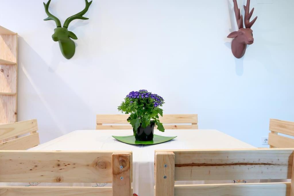 Apartamento Bonito 코르도바 외부 사진